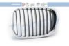 JOHNS 20 16 05-5 Radiator Grille